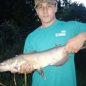 Meet your Posher, Colin